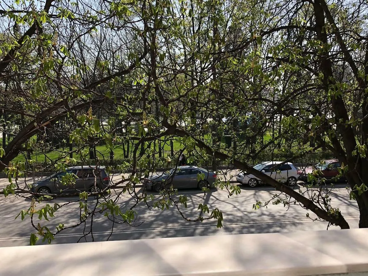 Viitoshka Apartment صوفيا