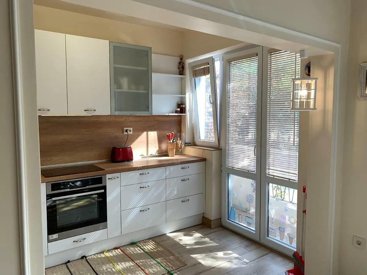 Viitoshka Apartment 소피아