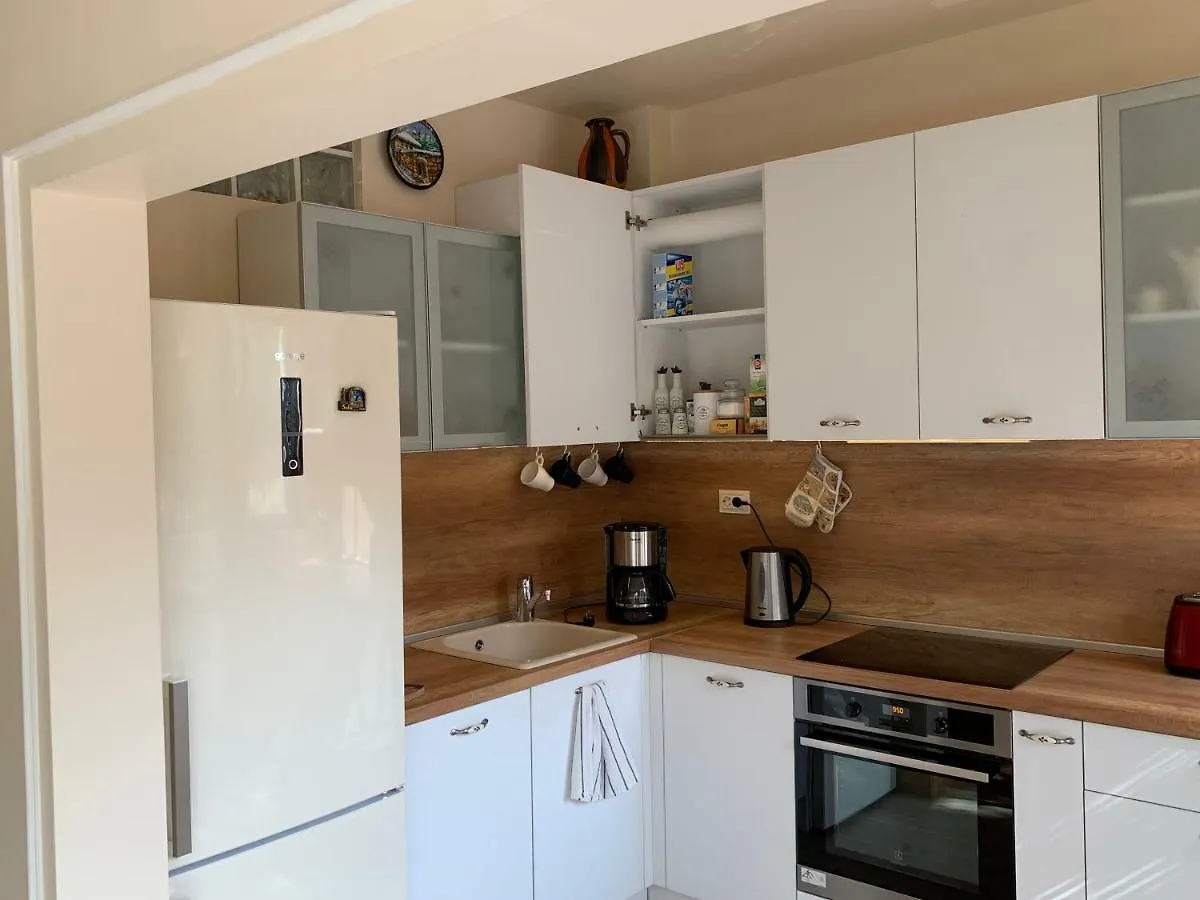 Viitoshka Apartment 소피아